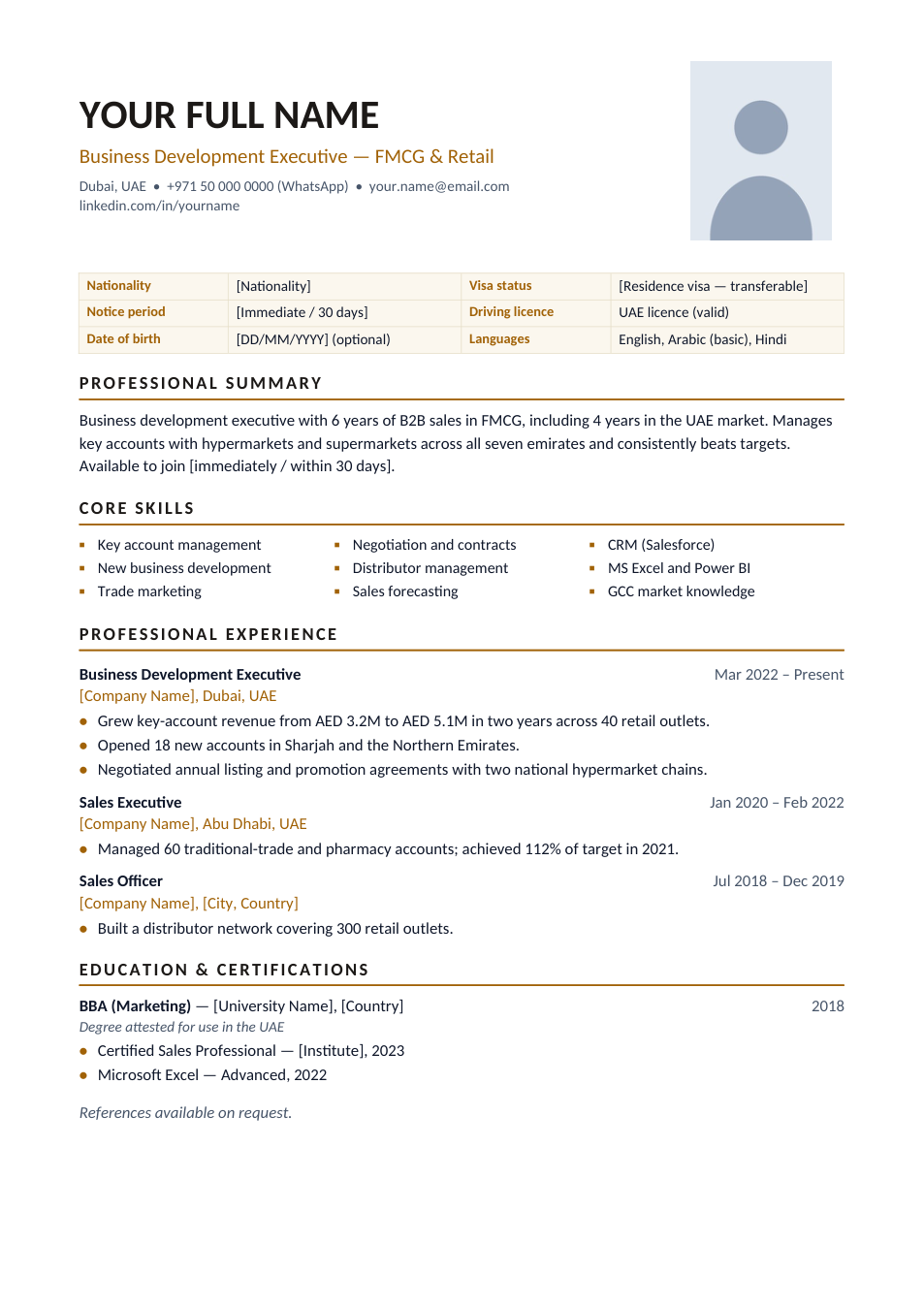 Dubai & Gulf CV template preview