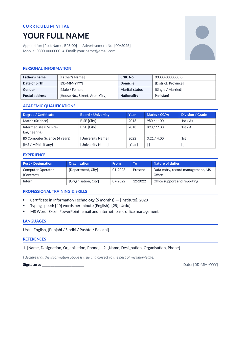 Government Job CV template preview