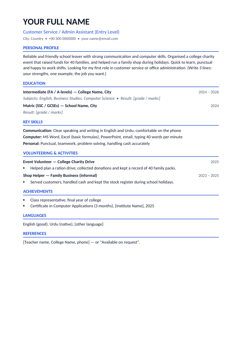 CV With No Experience template preview