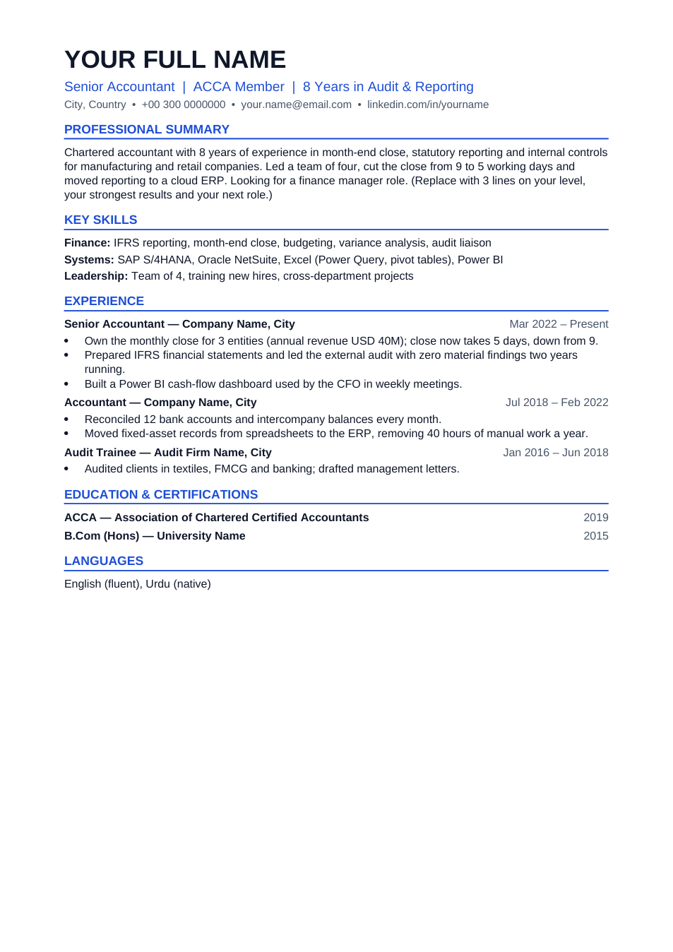 Professional CV template preview